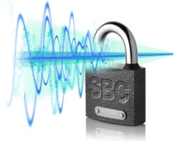 SBC امنیت ویپ VoIP
