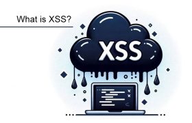 XSS چیست؟